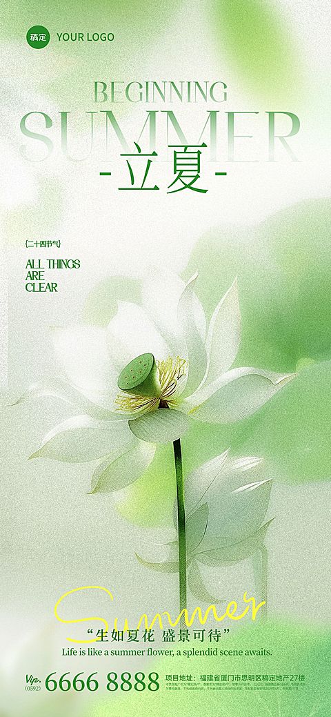 立夏实景感光影莲花近景背景全屏手机海报