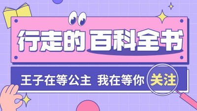 知识科普博主抖音引导关注封面背景图