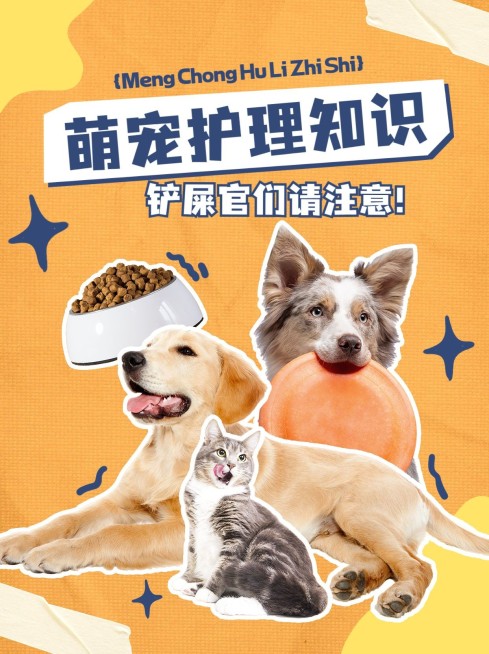 宠物护理知识科普小红书封面预览效果
