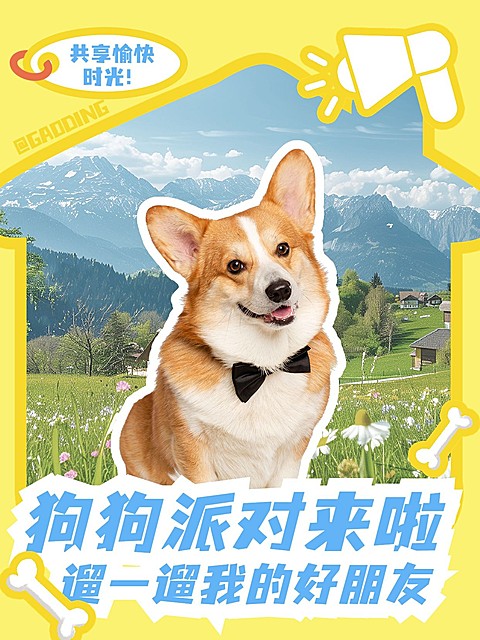 宠物活动宣传小红书封面aigc
