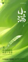 小满节气