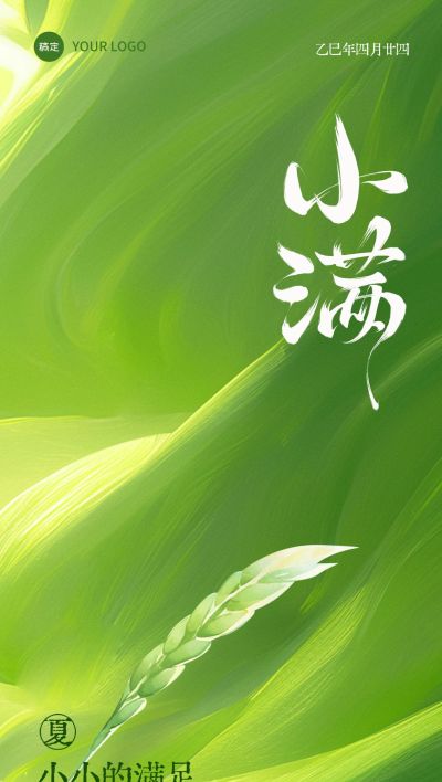 小满节气肌理感小麦光影海报