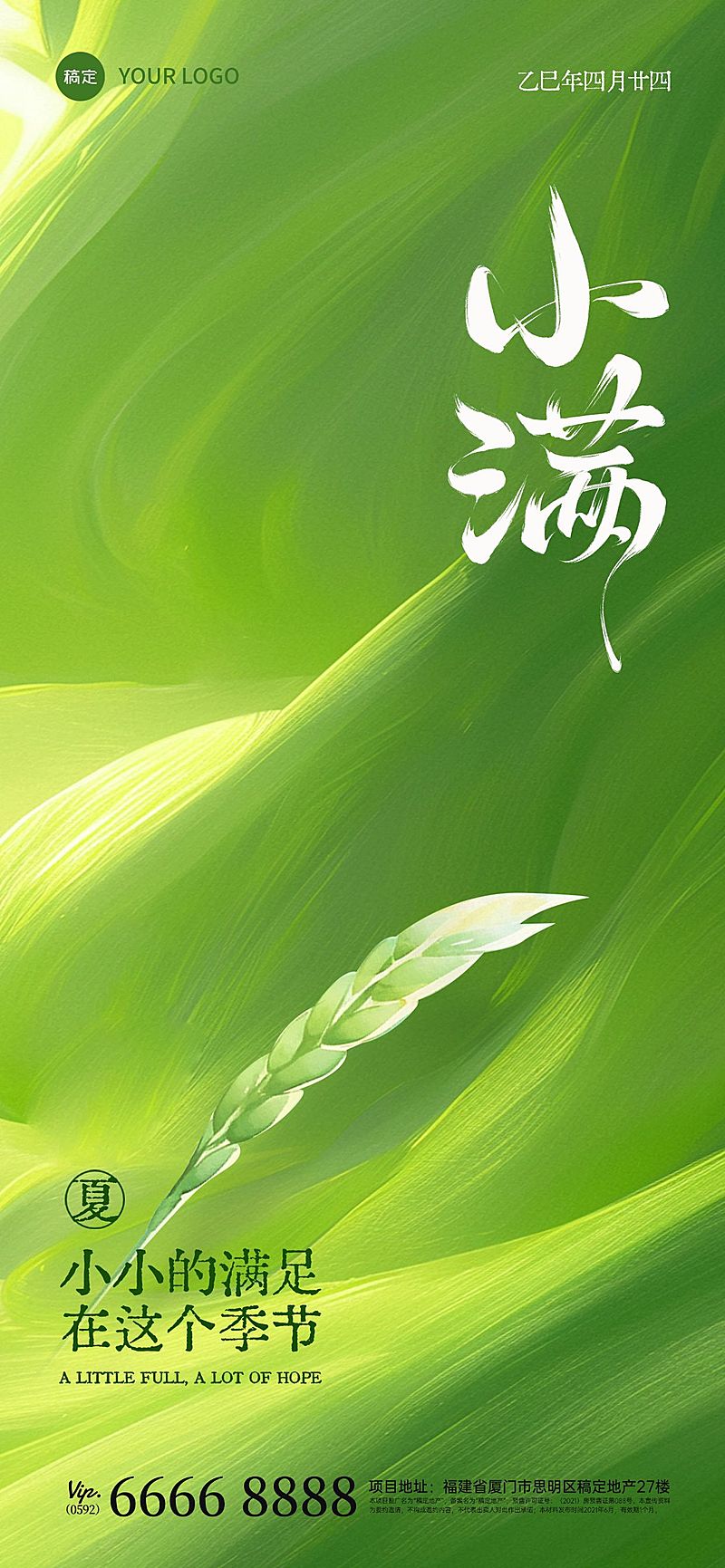 小满节气肌理感小麦光影海报