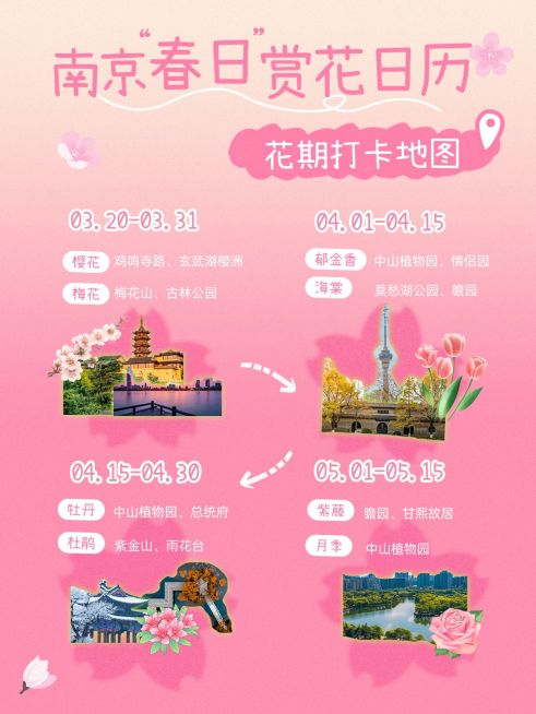春日旅游赏花攻略指南小红书配图aigc预览效果