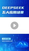 模板缩略图
