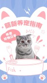 模板缩略图