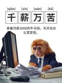 模板缩略图