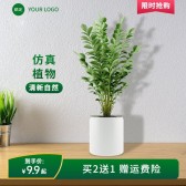 模板缩略图