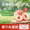 淘宝主图模板主图图标商品零售