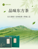 模板缩略图