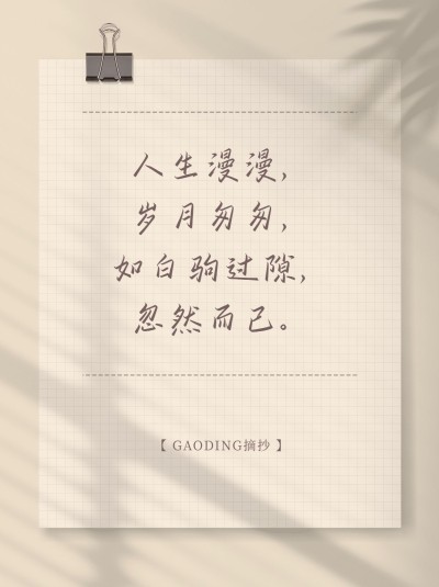 情感文案语录小红书封面