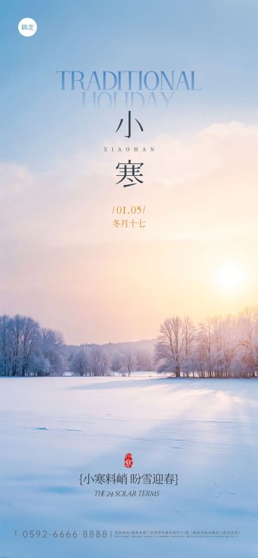 小寒节气祝福实景感雪松通用全屏竖版海报预览效果