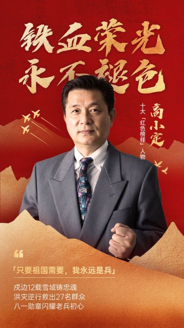 建军节政务组织人物表彰喜庆感政务感竖版手机海报预览效果