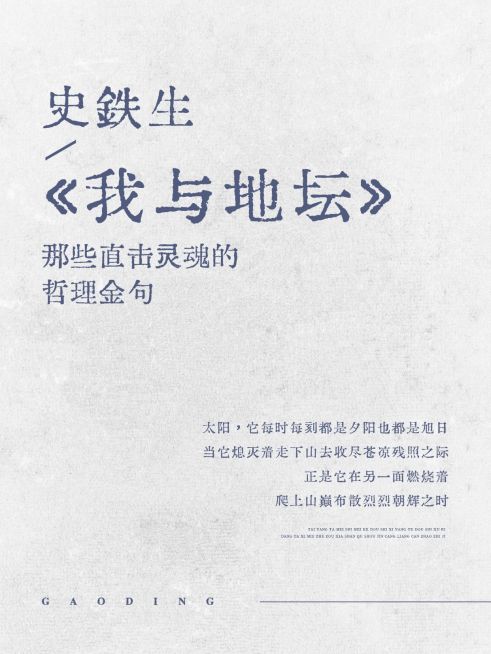 书籍金句语录质朴浅色背景小红书封面预览效果