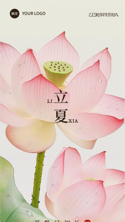立夏国风荷花水珠近景背景全屏手机海报