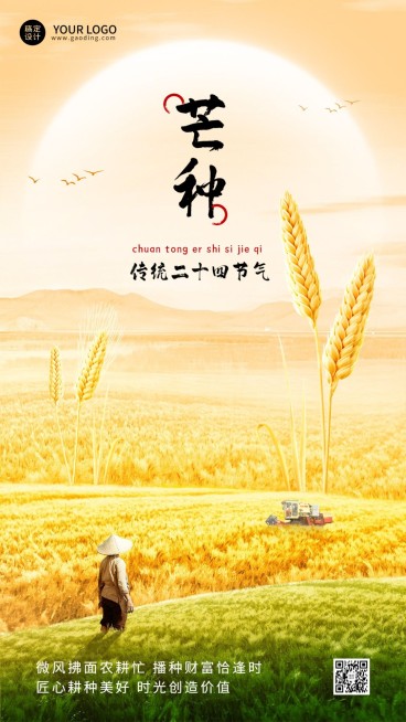 芒种金融保险节气祝福实景手机海报预览效果