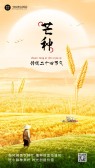 模板缩略图