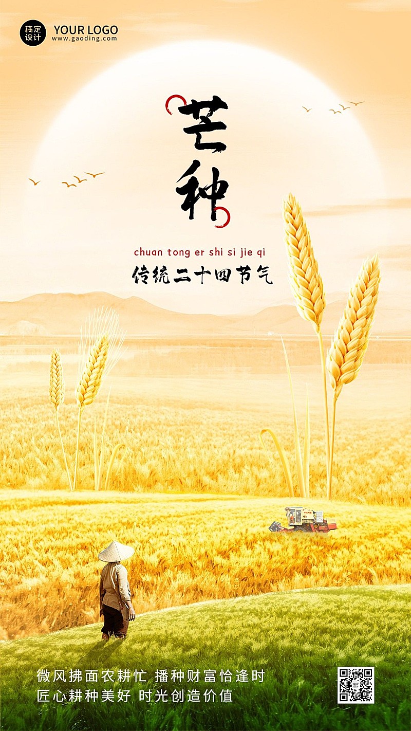 芒种金融保险节气祝福实景手机海报