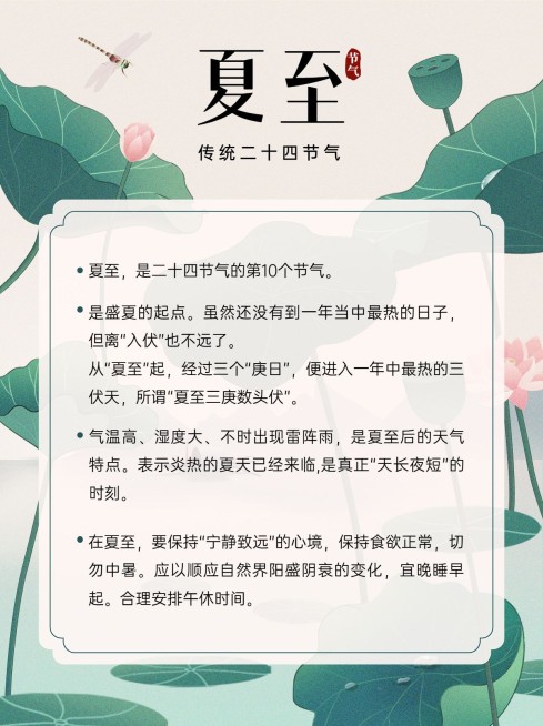 夏至节气科普小红书套装预览效果