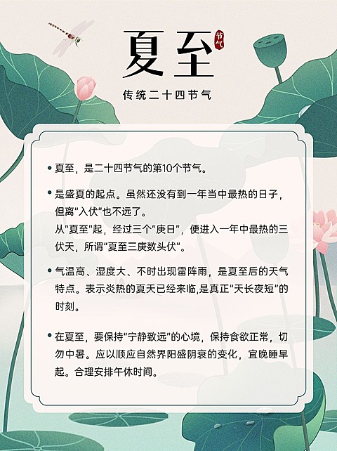 夏至节气科普小红书套装