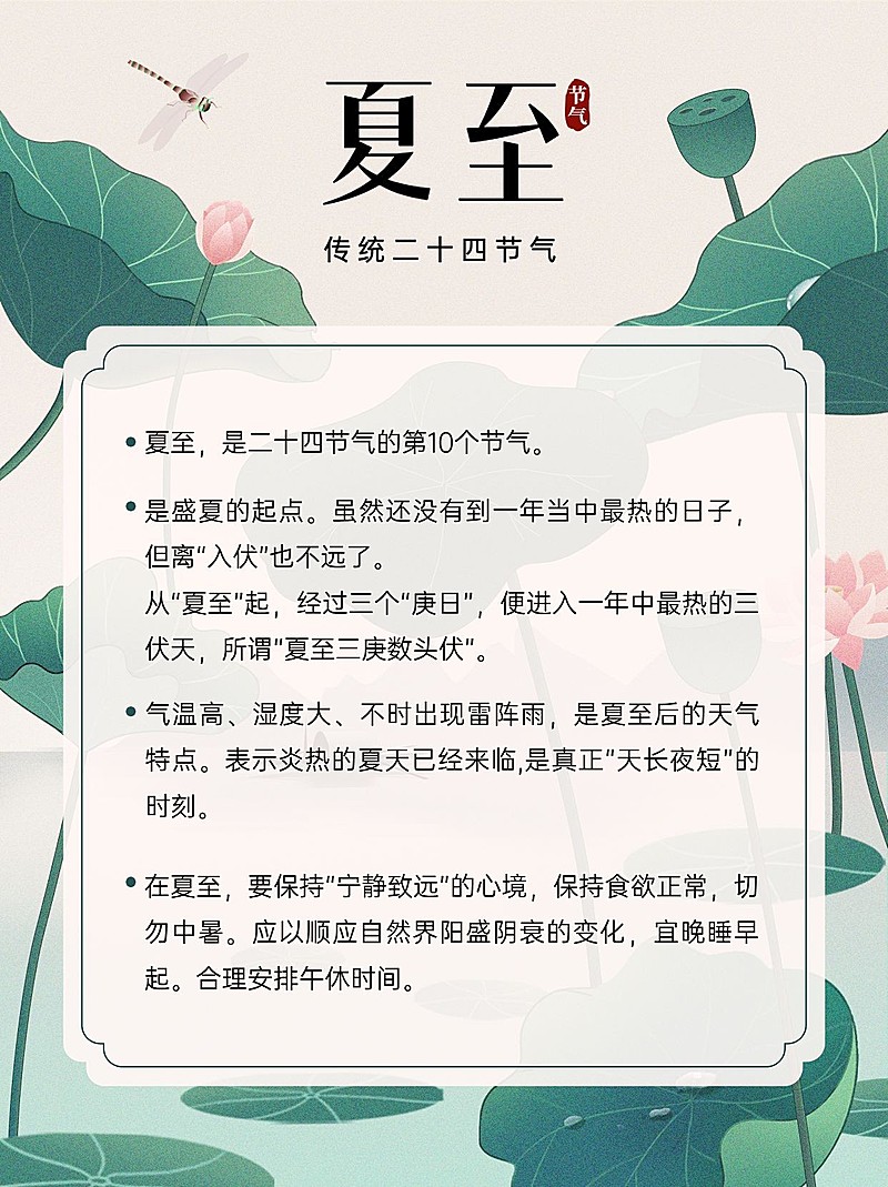 夏至节气科普小红书套装