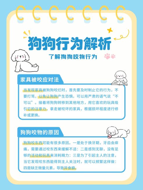 宠物狗狗行为解析科普指南小红书配图预览效果