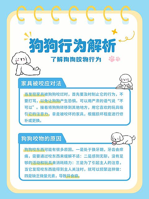 宠物狗狗行为解析科普指南小红书配图