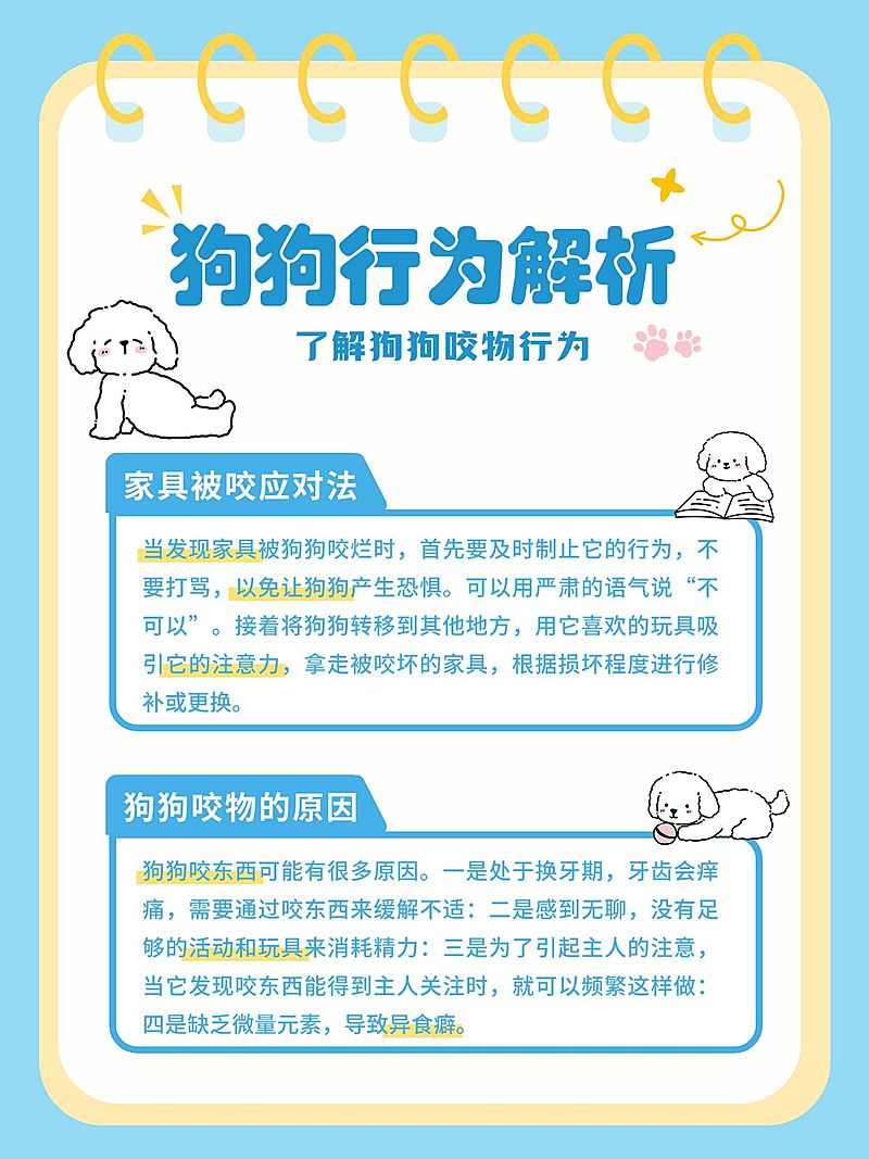 宠物狗狗行为解析科普指南小红书配图