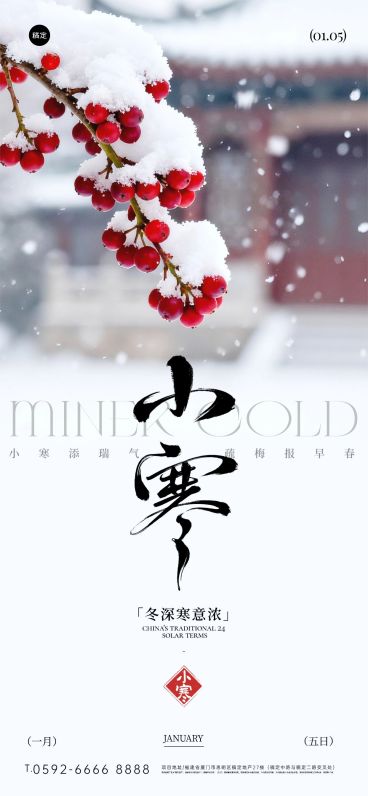 小寒节气祝福实景感梅花积雪通用全屏竖版海报预览效果
