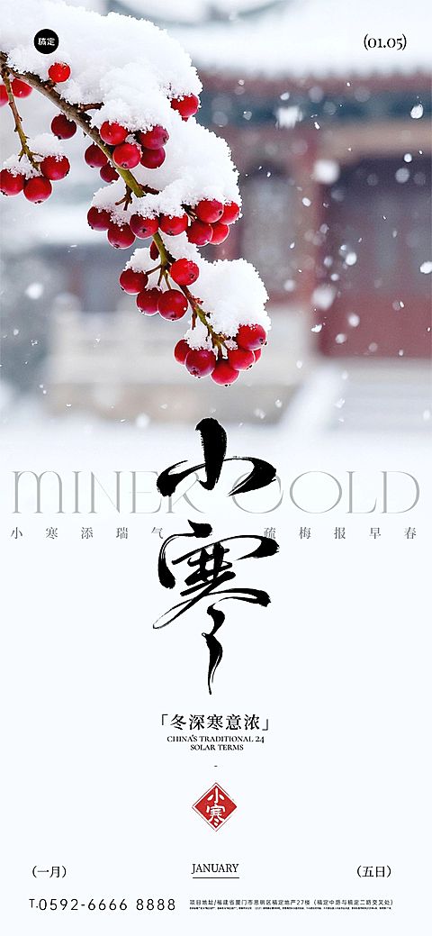 小寒节气祝福实景感梅花积雪通用全屏竖版海报
