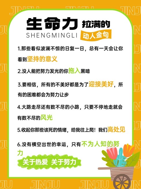 金句分享攻略科普手帐风小红书配图预览效果