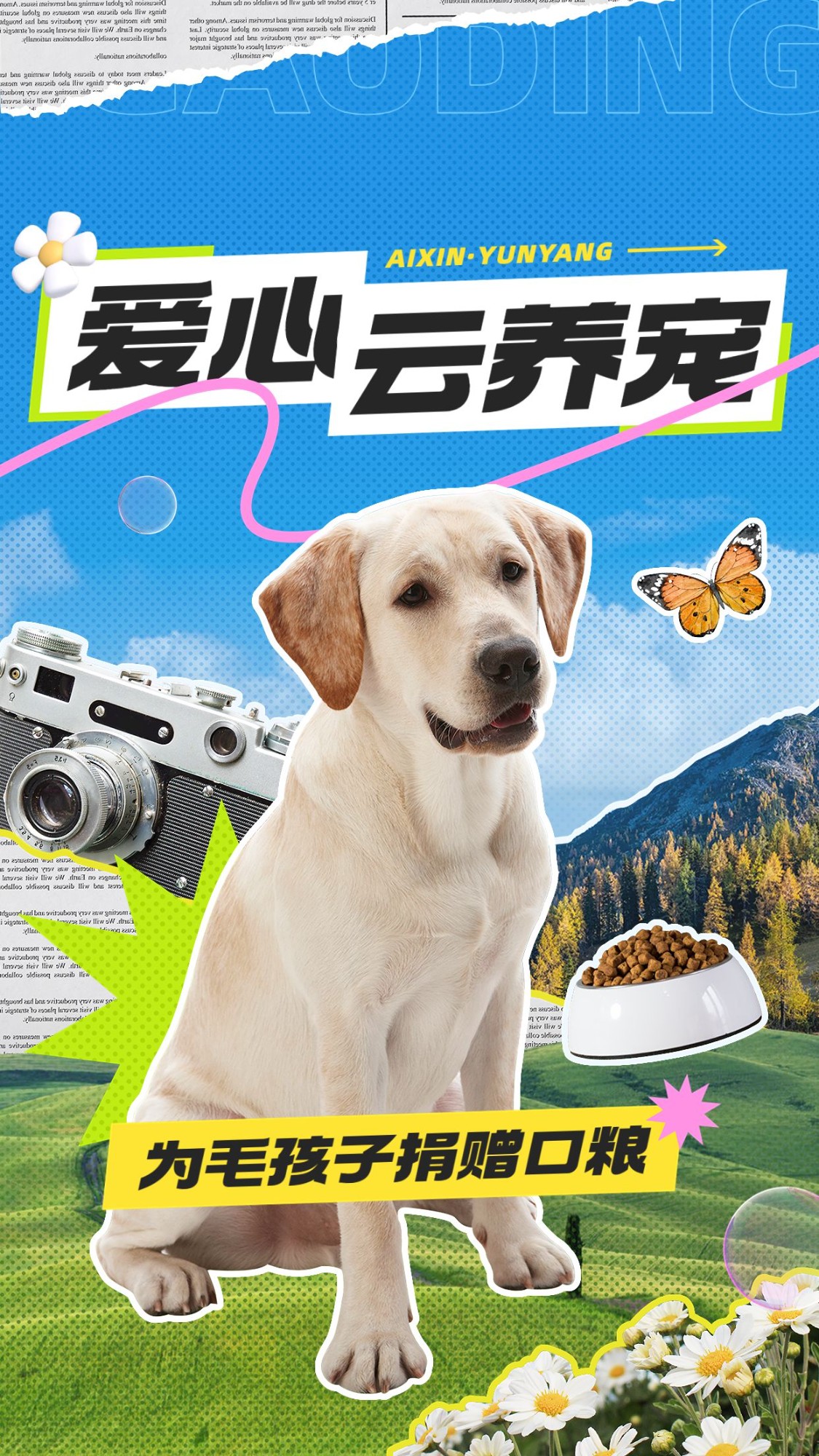 宠物救助宣传竖版视频封面