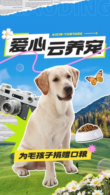 宠物救助宣传竖版视频封面预览效果