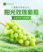 模板缩略图