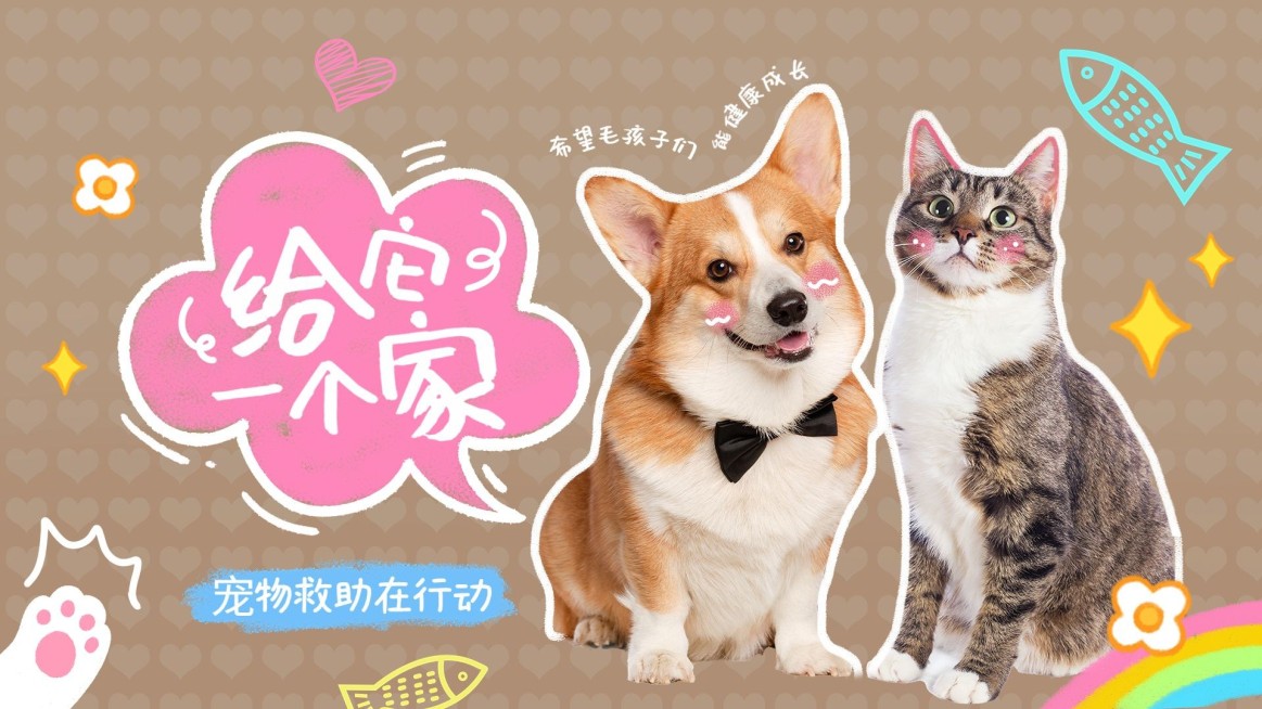 宠物救助宣传横版视频封面预览效果