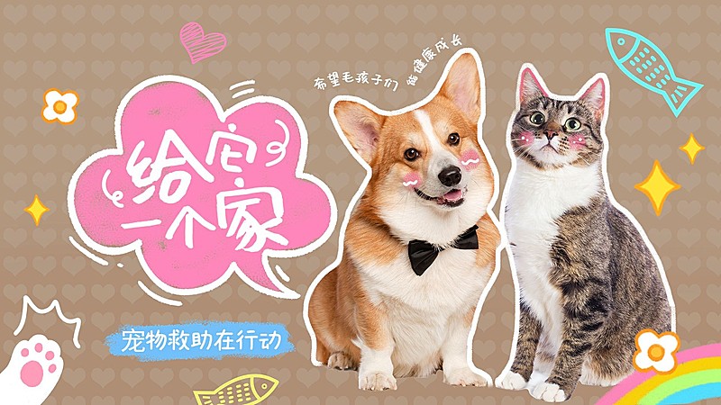 宠物救助宣传横版视频封面
