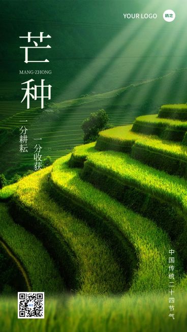 芒种节气祝福排版手机海报预览效果