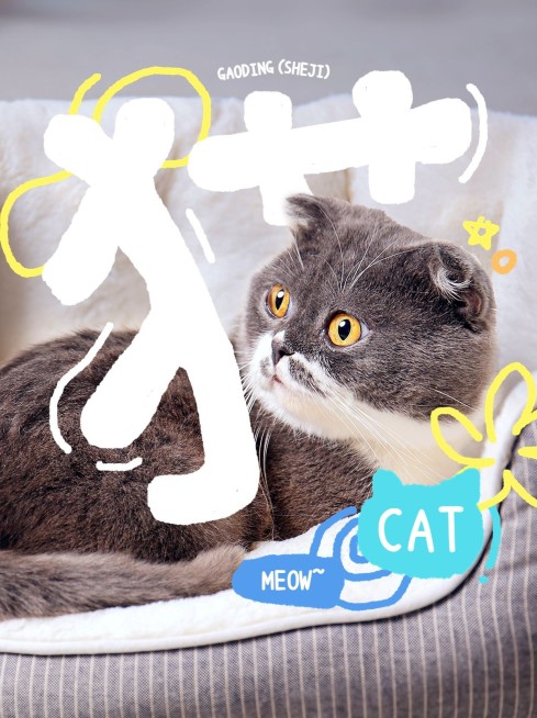 宠物猫猫晒照涂鸦小红书配图预览效果