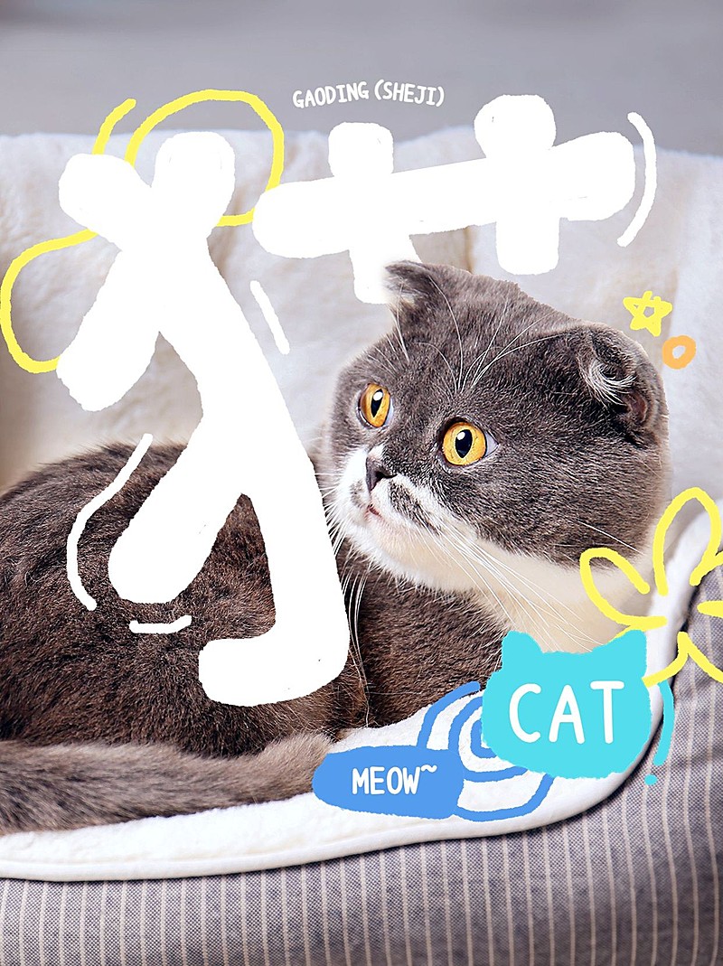 宠物猫猫晒照涂鸦小红书配图