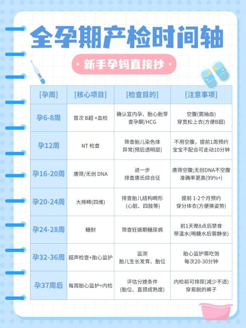 母婴亲子孕产产检时间科普小红书配图预览效果