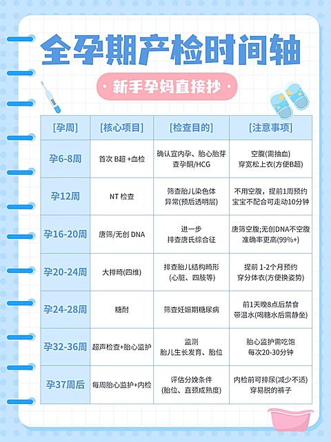 母婴亲子孕产产检时间科普小红书配图