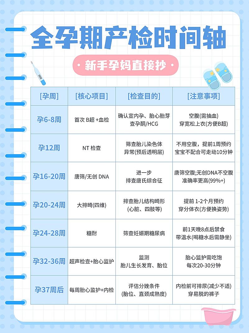 母婴亲子孕产产检时间科普小红书配图