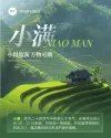 小满公众号