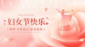 模板缩略图