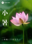 模板缩略图