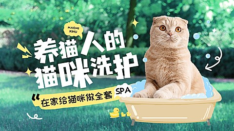 宠物知识科普宣传横版视频封面