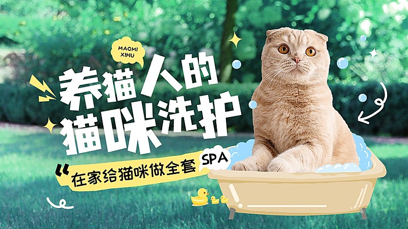 宠物知识科普宣传横版视频封面