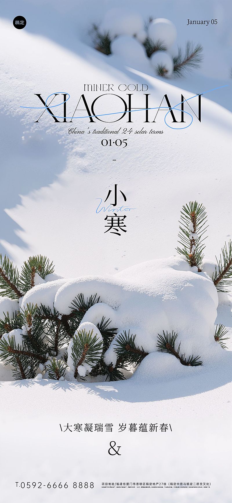 小寒节气祝福实景感积雪松枝全屏竖版海报