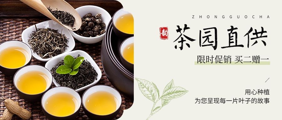 茶叶营销宣传公众号首图推文封面预览效果