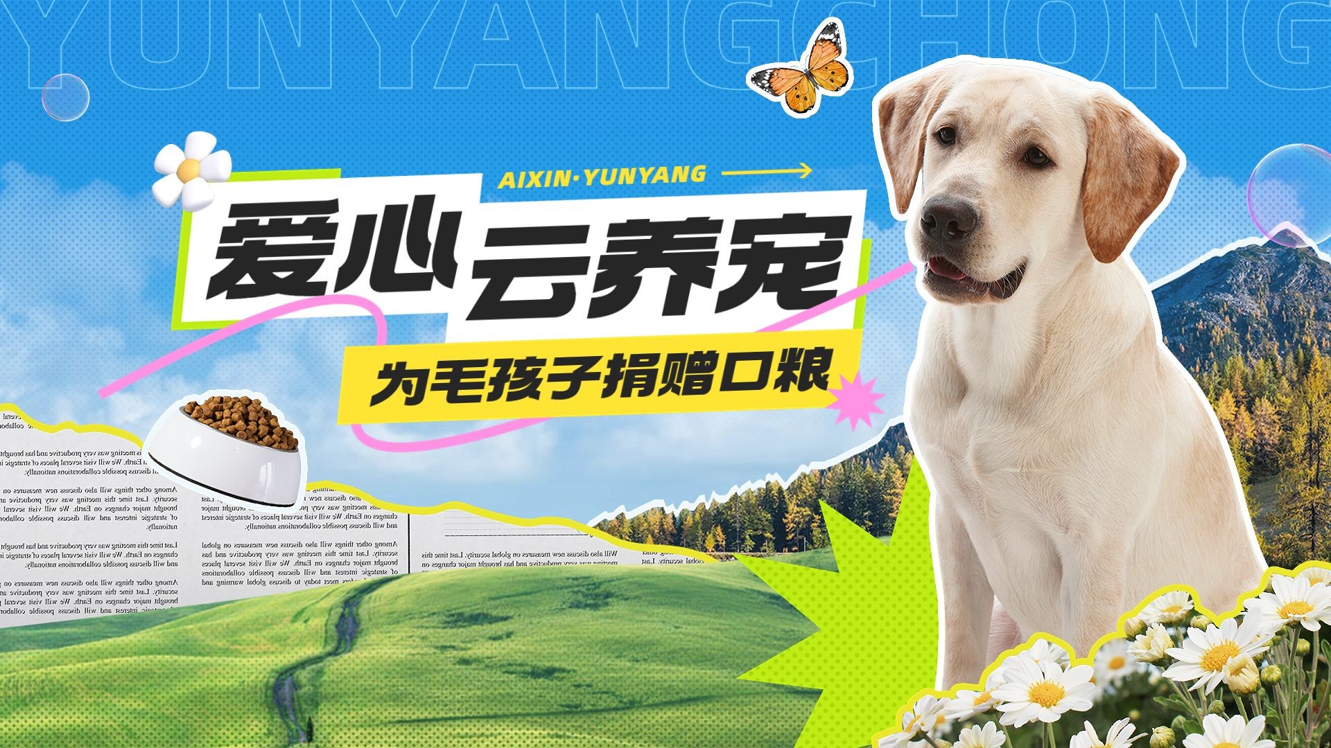 宠物救助宣传横版视频封面